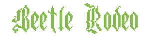 Beetle Rodeo logo